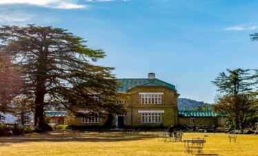 Chail Travel Package