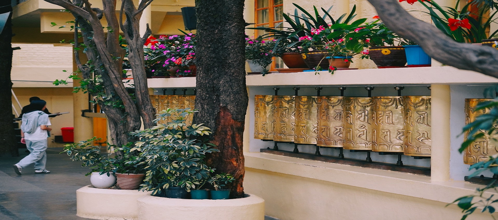 Adventure Tour in Dharamshala