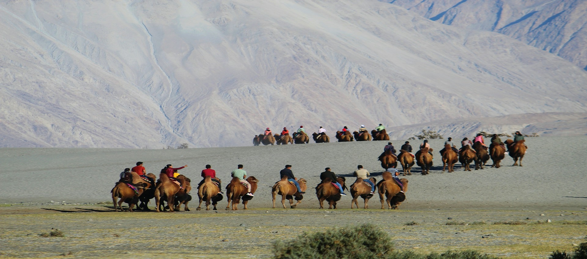 Ladakh Magic Tour Information