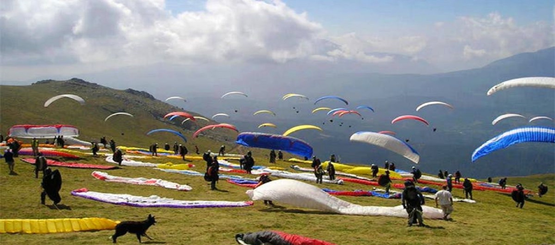 Paragliding in Bir Billing