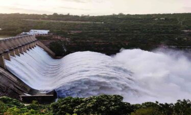 River Angling in Pong Dam