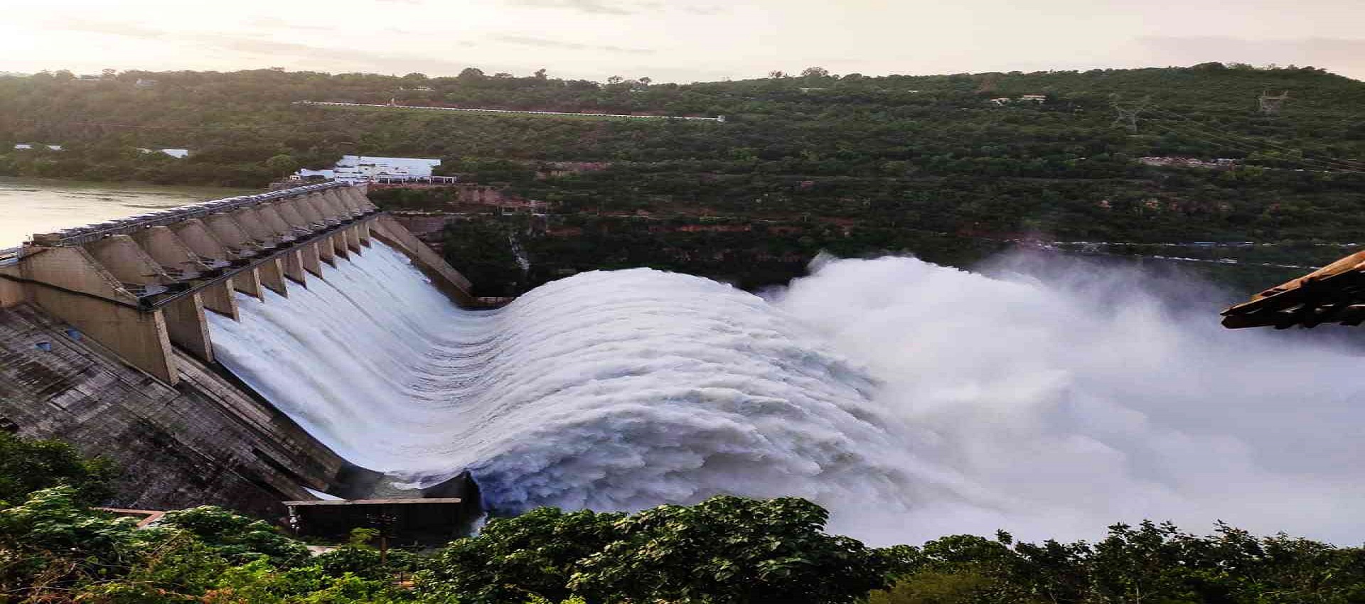River Angling in Pong Dam