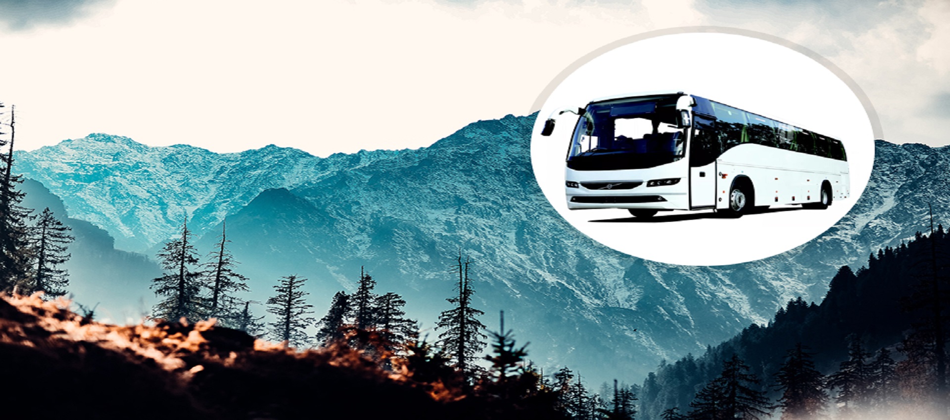 Shimla Tour By Volvo Bus